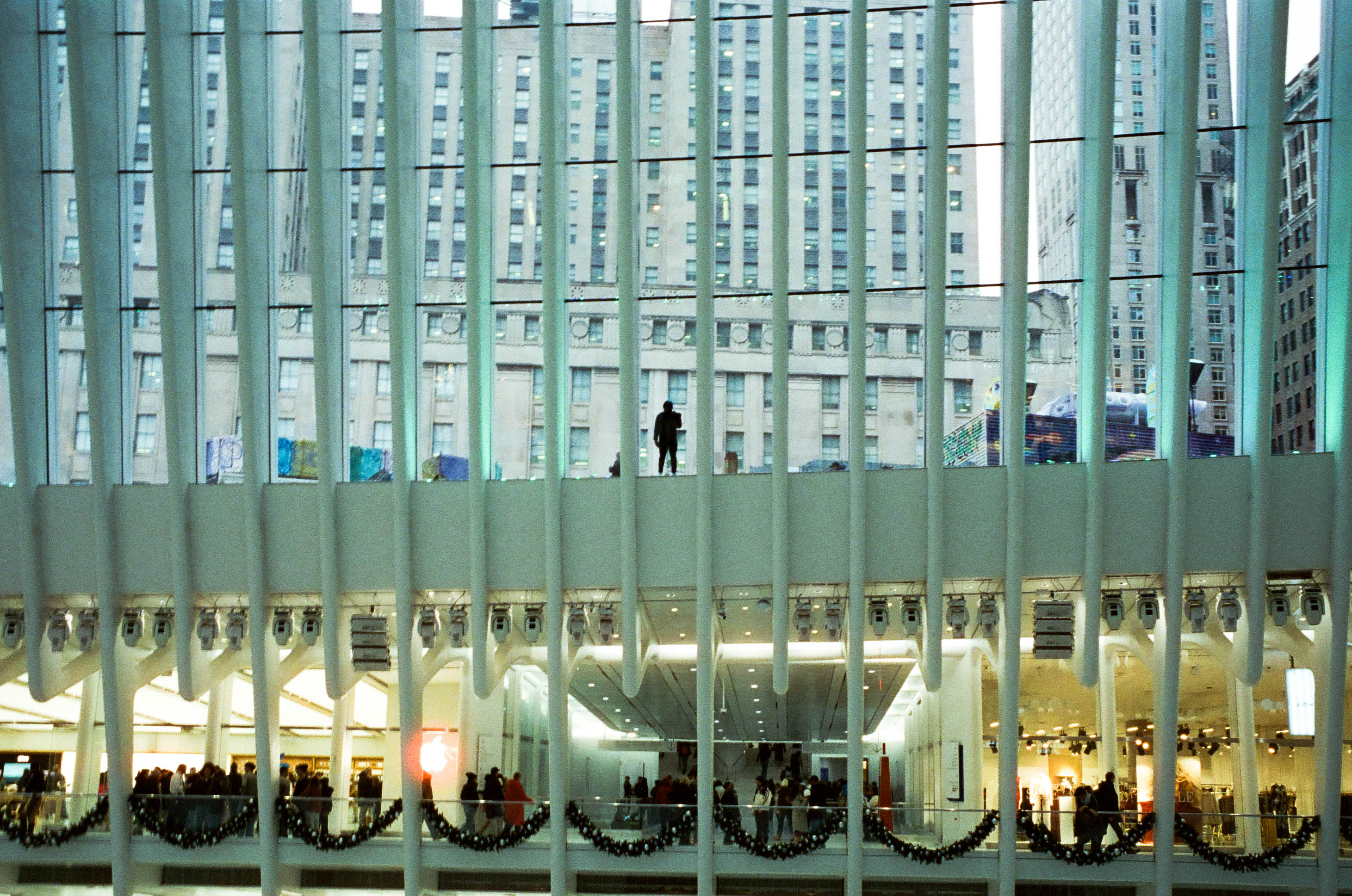 Portfolio image 4